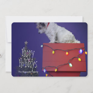 Cartão De Festividades Christmas Dog 2012