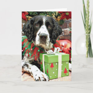 Cartão De Festividades Christmas - English Springer Spaniel - Barney