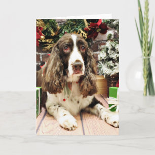 Cartão De Festividades Christmas - English Springer Spaniel - Logan