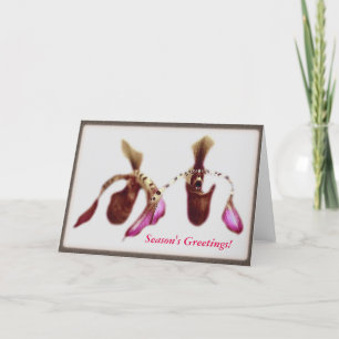 Cartão De Festividades Christmas Flower Orchid