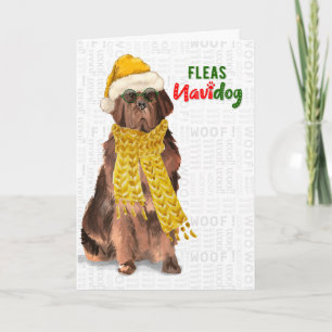 Cartão De Festividades Christmas Funny Newfoundland Fleas NaviDOG