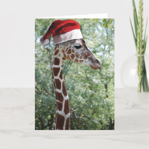 Cartão De Festividades Christmas Giraffe