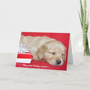 Cartão De Festividades Christmas Golden Retriever puppy