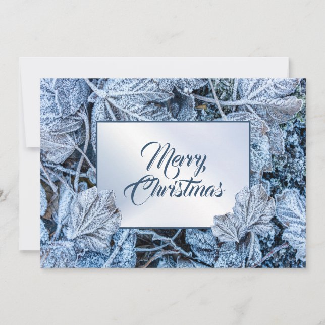 Cartão De Festividades Christmas Greeting Blue Leaves Snow Winter (Frente)