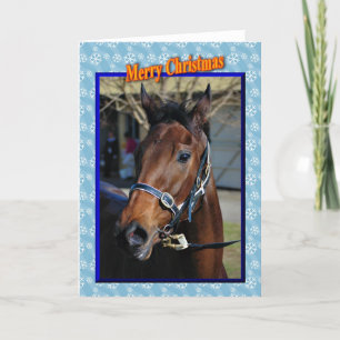 Cartão De Festividades Christmas horse Happy holidays xmas animals