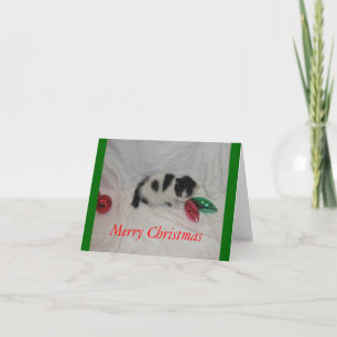 Cartão De Festividades Christmas kitten card