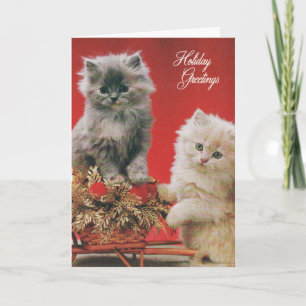 Cartão De Festividades Christmas Kittens