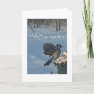 CARTÃO DE FESTIVIDADES CHRISTMAS MIRACLES