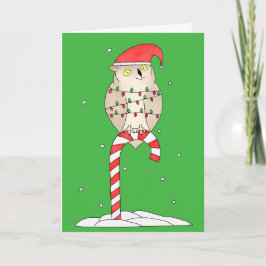 Cartão De Festividades Christmas Owl Cute Funny