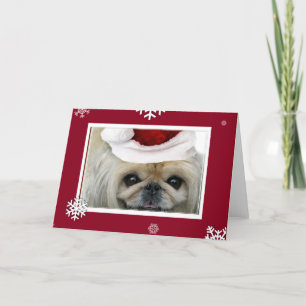 Cartão De Festividades Christmas Pekingese greeting card