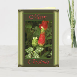 Cartão De Festividades Christmas Pine Cone Card