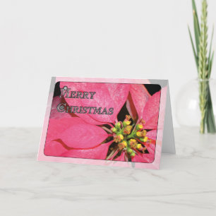 Cartão De Festividades Christmas Poinsettia