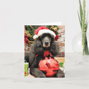 Cartão De Festividades Christmas - Poodle - Lily
