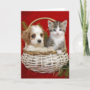 Cartão De Festividades Christmas puppy and kitten in basket together