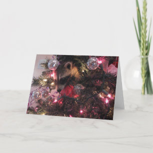 Cartão De Festividades Christmas Raccoon