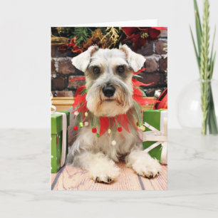 Cartão De Festividades Christmas - Schnauzer - Abby