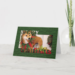 Cartão De Festividades Christmas - Shiba Inu Photocard