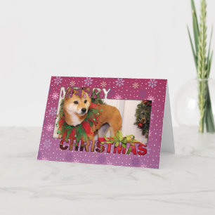 Cartão De Festividades Christmas - Shiba Inu Photocard