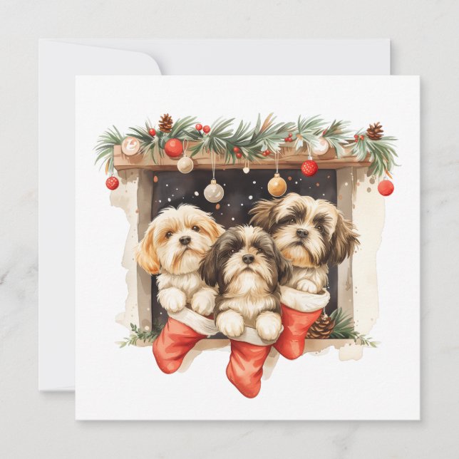 Cartão De Festividades Christmas Shih Tzu Dogs (Frente)