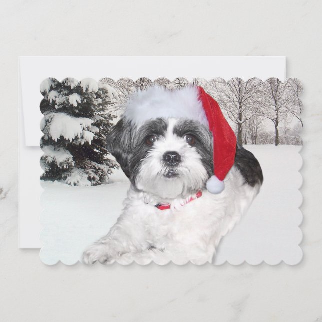 Cartão De Festividades Christmas Shih Tzu em neve (Frente)