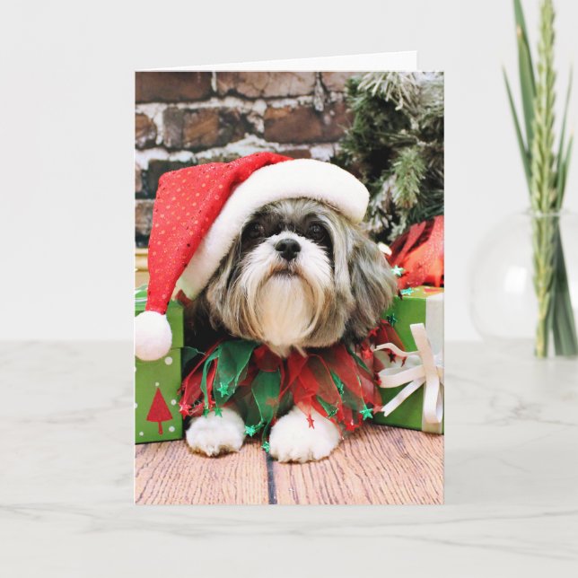 Cartão De Festividades Christmas - Shih Tzu - Vince (Frente)