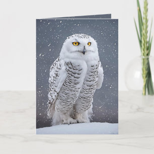 Cartão De Festividades Christmas Snowy Owl