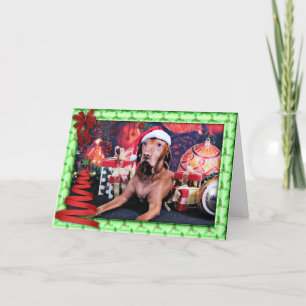 Cartão De Festividades Christmas - Vizsla - Budda