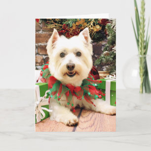 Cartão De Festividades Christmas - West Highland Terrier - Abby