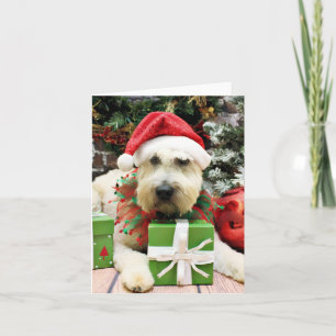 Cartão De Festividades Christmas - Wheaten Terrier - Bailey