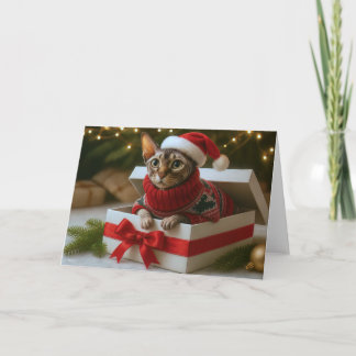 Cartão De Festividades Christmas Whiskers & Wrinkles Card