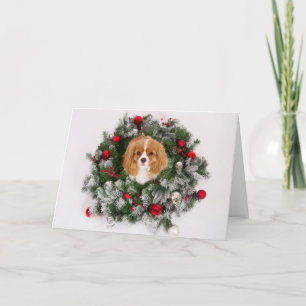 Cartão De Festividades Christmas Wreath Cavalier King Charles Card