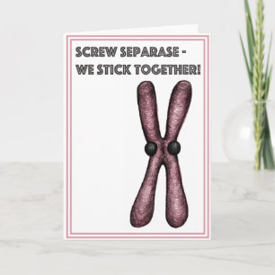 Cartão De Festividades Chromosomes