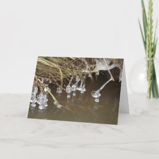 Cartão De Festividades Ciclos