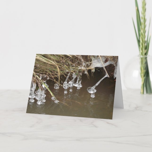 Cartão De Festividades Ciclos (Frente)