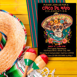 Cartão De Festividades Cinco de Mayo Chihuahua Vestindo Sombrero & Serape