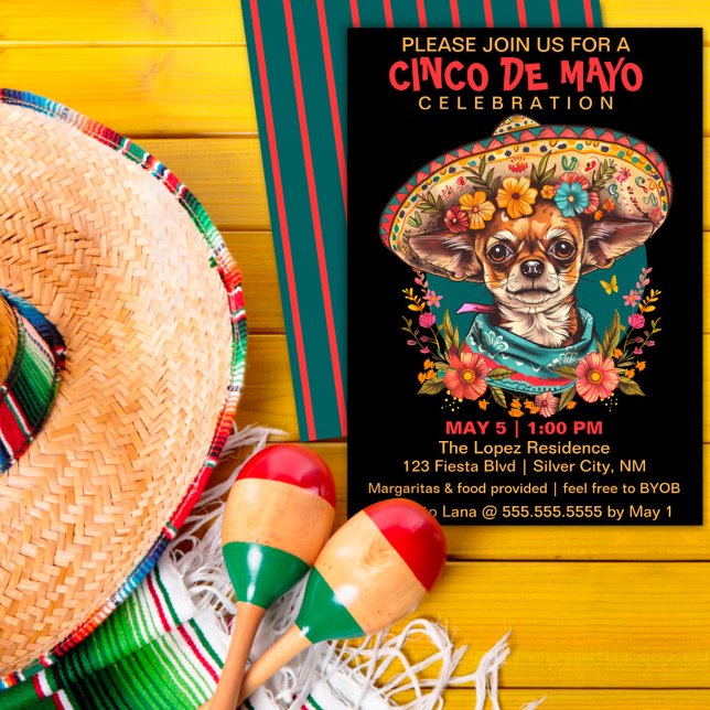 Cartão De Festividades Cinco de Mayo Chihuahua Vestindo Sombrero & Serape (Criador carregado)