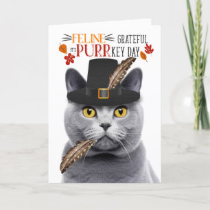 Cartão De Festividades Cinza Chartreux Feline Grateful para PURRkey Day