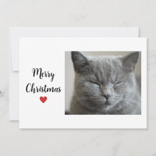 Cartão De Festividades Cinzas bonitas, salsicha de Gato de Natal