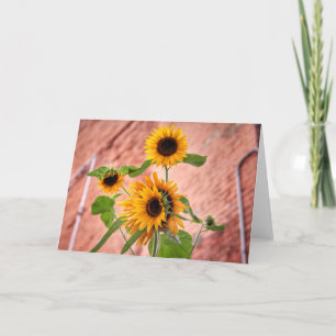 Cartão De Festividades City Sunflowers Note Cards