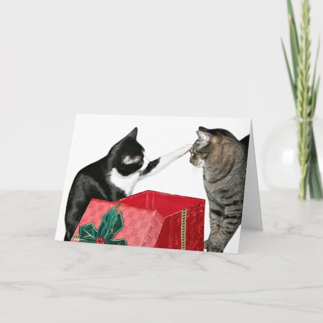 Cartão De Festividades Ciúmes de Natal (Frente)