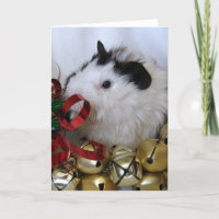 Cobaia de Jingle Bell