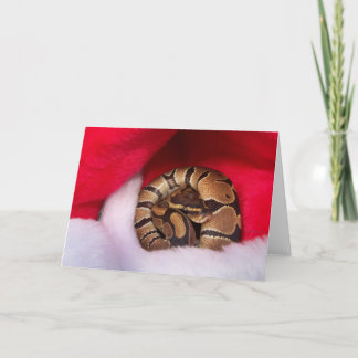 Cartão De Festividades Cobra amontoado no chapéu de Santa, pitão de bola