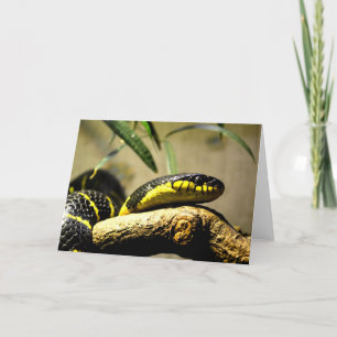 Cartão De Festividades Cobra preto e amarelo