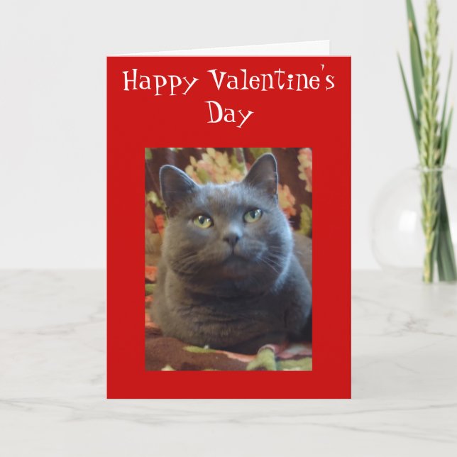 Cartão De Festividades Cócegas (Frente)