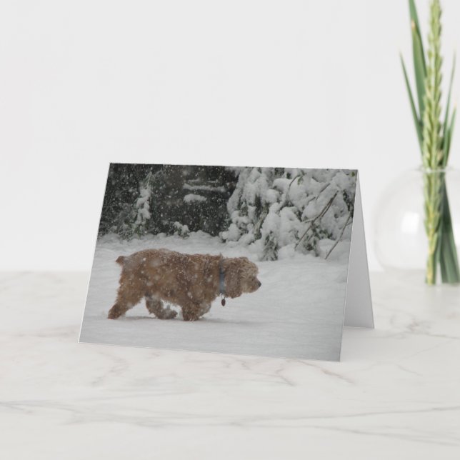 Cartão De Festividades Cocker spaniel nevado (Frente)