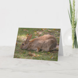 Cartão De Festividades Coelhinho Bonito