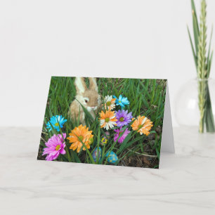 Cartão De Festividades Coelhinho de Páscoa com Visitas