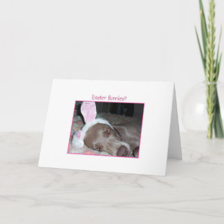 Cartão De Festividades Coelhinhos da Páscoa? Farsa de Bah!