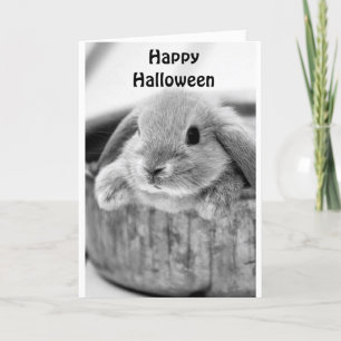CARTÃO DE FESTIVIDADES COELHO COMICAL DIZ **FELIZ HALLOWEEN**