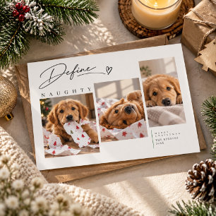 Cartão De Festividades Colagem de Fotos de Três Cães Engraçados e Safadin